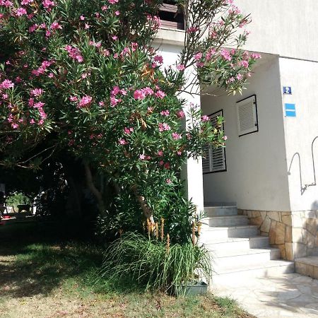 Apartman Nona Povljana Eksteriør billede