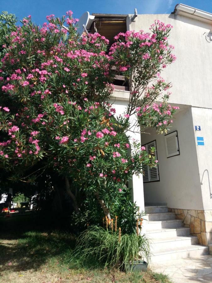 Apartman Nona Povljana Eksteriør billede